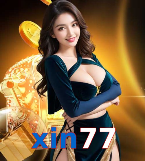 xin77