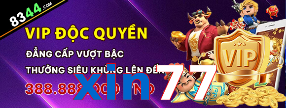 xin77