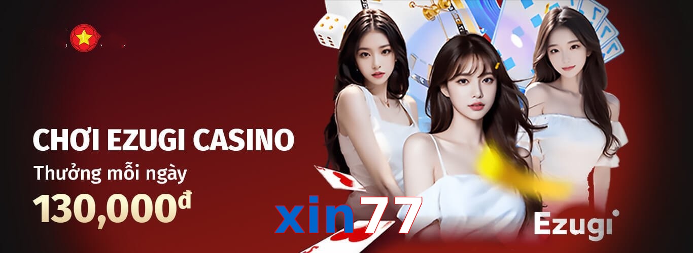 xin77