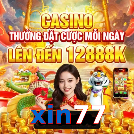 xin77